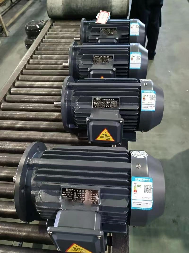 What Is a Class 1 Energy Efficiency Motor?